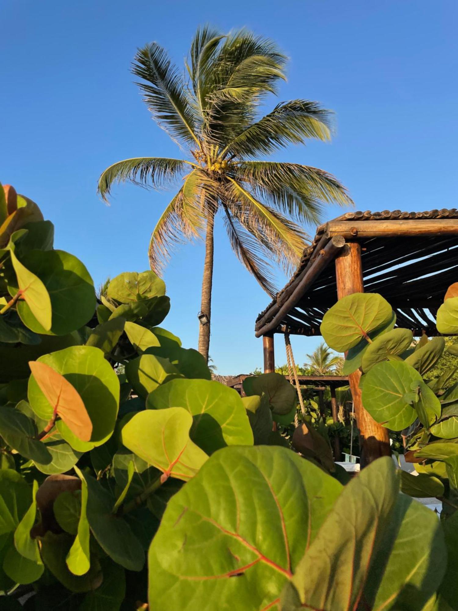 Namaste Club & Hotel 3*